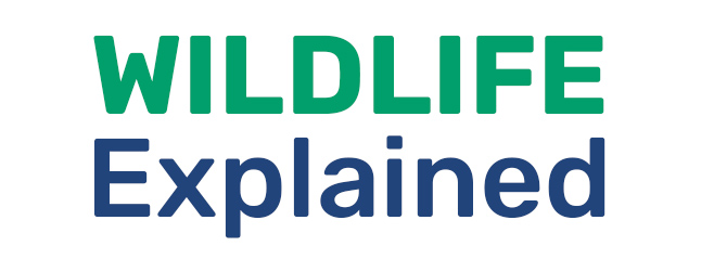 Wildlife Explained logo